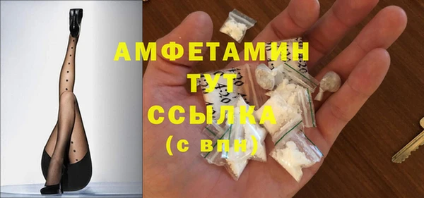 индика Балабаново