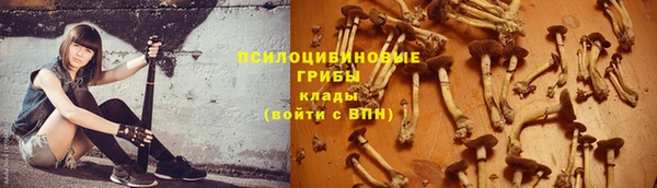 индика Балабаново