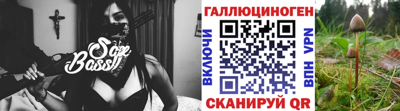 Псилоцибиновые грибы Cubensis  Усолье-Сибирское 